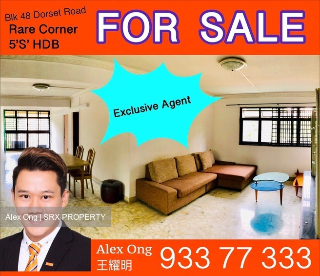 Blk 48 Dorset Road (Kallang/Whampoa), HDB 5 Rooms #183629992